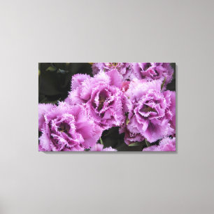 Lienzo Países Bajos (alias Holanda), Lisse. Keukenhof 2