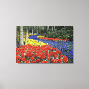 Lienzo Países Bajos, Holanda, Lisse, Jardines Keukenhof