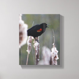 Lienzo Pajarita de alas rojas (Agelaius phoeniceus)
