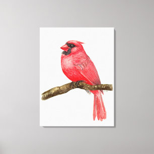 Lienzo pájaro cardenal acuarela