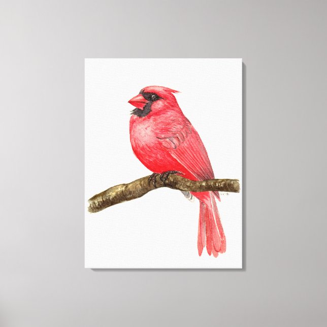 Lienzo pájaro cardenal acuarela (Anverso)