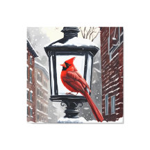 Pájaro Cardenal Posado En Una Farola Cubierta De N