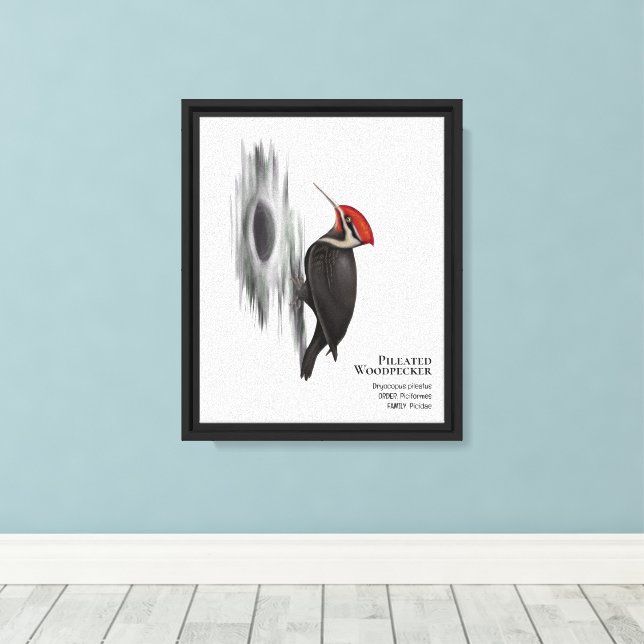 Lienzo Pájaro carpintero perpendicular, pájaro macho (Insitu (piso de madera))