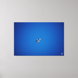 Lienzo Pájaro en el cielo #2
