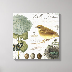 Lienzo pájaro francés y jerarquía del vintage moderno