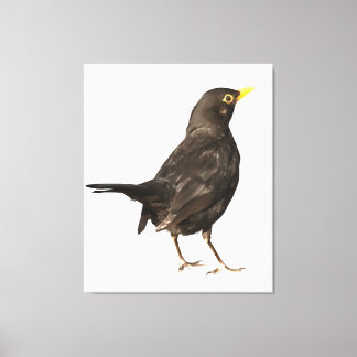 Lienzo Pájaro negro aislado sobre pintura acrílica blanca