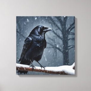 Lienzo Pájaro negro oscuro de raven