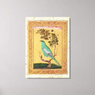Lienzo Pájaro verde, Mughal (aguazo en el papel)