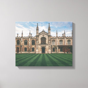 Lienzo palacio de hormigón marrón bajo cielo azul durante