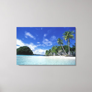 Lienzo Palau, Islas Rock, Isla Honeymoon, Mundo