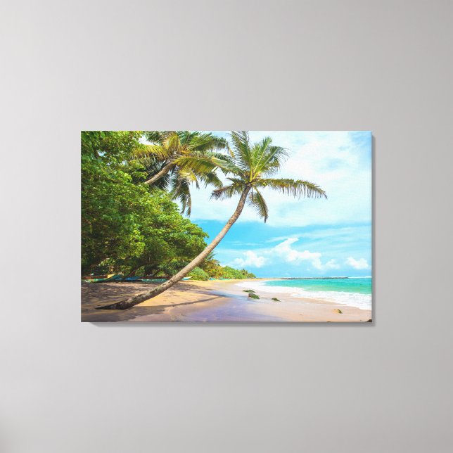 Lienzo Palm de coco, playa de Mirissa | Sri Lanka (Anverso)