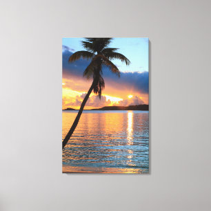 Lienzo Palm Tree and Caribbean Sunset Sky, St. Thomas