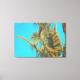 Lienzo Palm Tree deja cielo turquesa