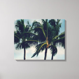 Lienzo Palm Trees de Hawaii