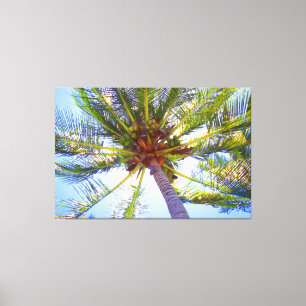 Lienzo PALMA DE SOL 40x60