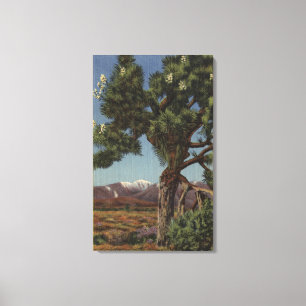 Lienzo Palma Joshua en flor en desierto californiano