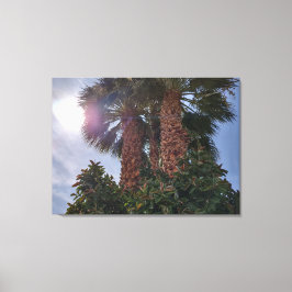 LIENZO PALMAS DEL DESIERTO 1