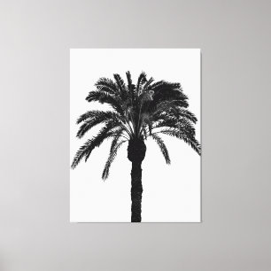Lienzo palmera tropical en blanco y negro
