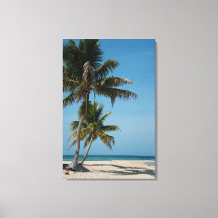 Lienzo Palmera y playa de arena blanca