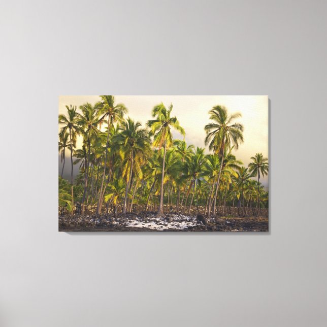 Lienzo Palmeras, Parque Histórico Nacional Pu'uhonua o (Anverso)