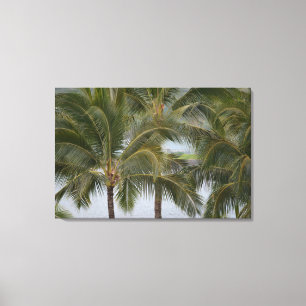 Lienzo Palmeras tropicales en Hawaii en el océano