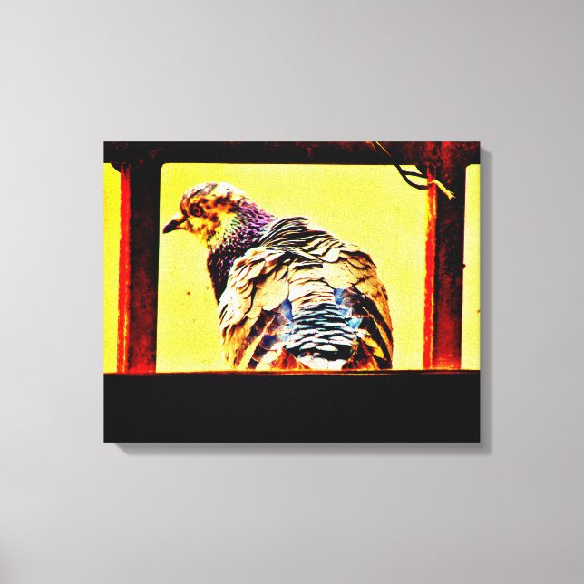 Lienzo Paloma colorida (Anverso)