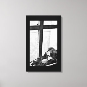 Lienzo Paloma tranquila