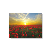 palomitas rojas espectaculares