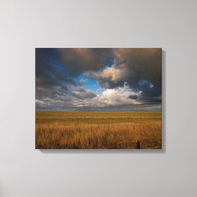 Lienzo Pampas (Anverso)