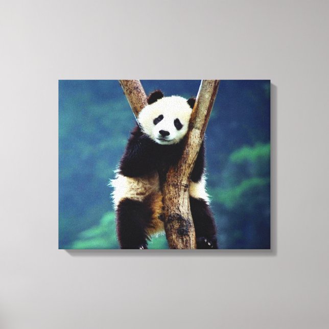 Lienzo Panda Bear (Anverso)
