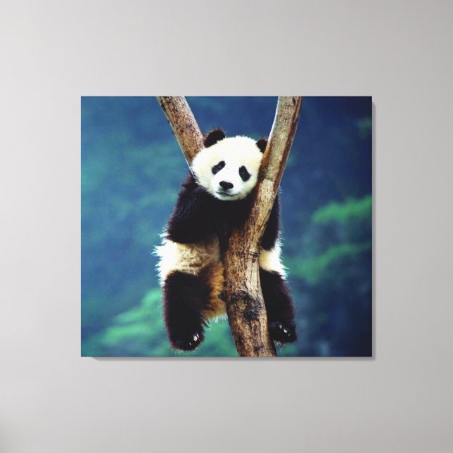 Lienzo Panda Bear (Anverso)