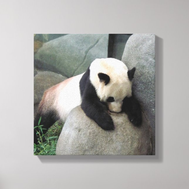 Lienzo Panda Canvas (Anverso)