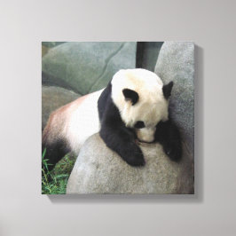 Lienzo Panda Canvas