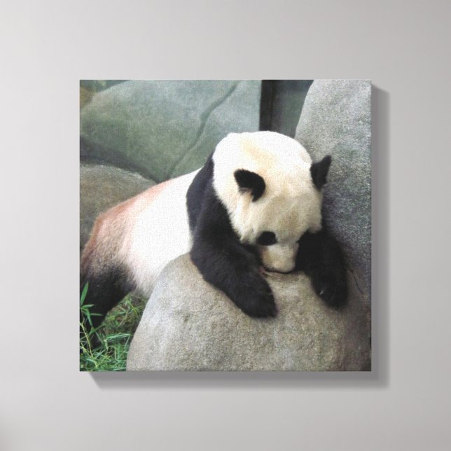 Lienzo Panda Canvas (Anverso)