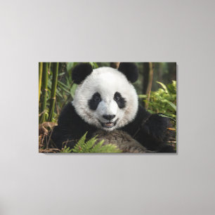 Lienzo Panda joven feliz, China