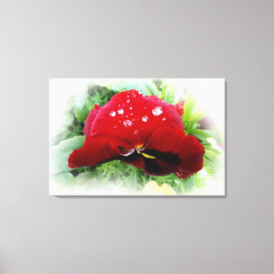 Lienzo Panda rojo brillante