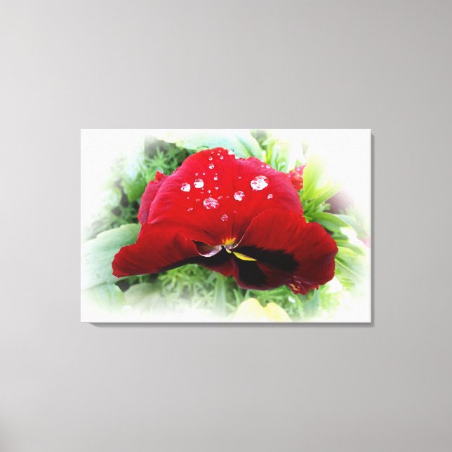 Lienzo Panda rojo brillante (Anverso)