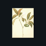 Lienzo Panel de deco de cobalto I<br><div class="desc">Panel de cobalto deco I de Chariklia Zarris</div>