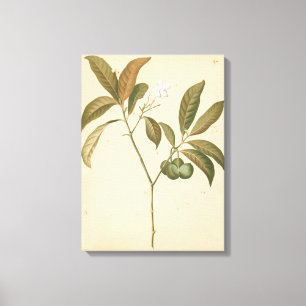 Lienzo Panel de deco de cobalto I