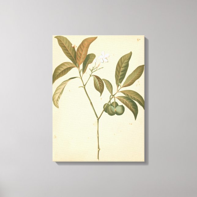 Lienzo Panel de deco de cobalto I (Anverso)