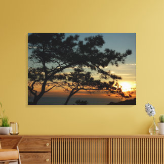 Lienzo Panorama de Torrey Pine Sunset