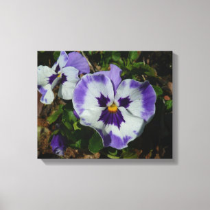 Lienzo Pansias moradas y blancas con flores coloridas
