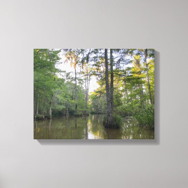 Lienzo Pantano de Louisiana (Anverso)