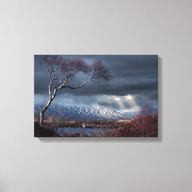 Lienzo Pantanoso árbol solitario de Rannoch (Anverso)