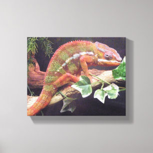 Lienzo Panther Chameleon