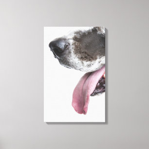 Lienzo Panting Harlequin Great Dane