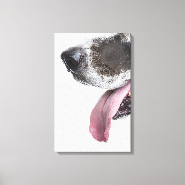 Lienzo Panting Harlequin Great Dane (Anverso)