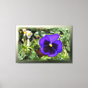 Lienzo Pañuelo morado