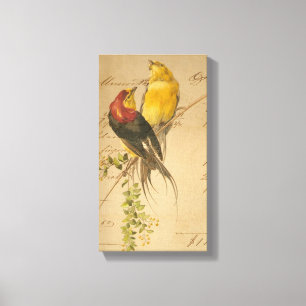 Lienzo Papel de Aves Vintage y Libro Mayor