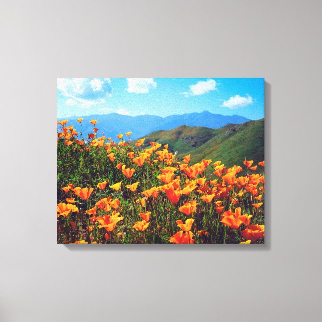 Lienzo Papeles de California cubriendo una colina (Anverso)